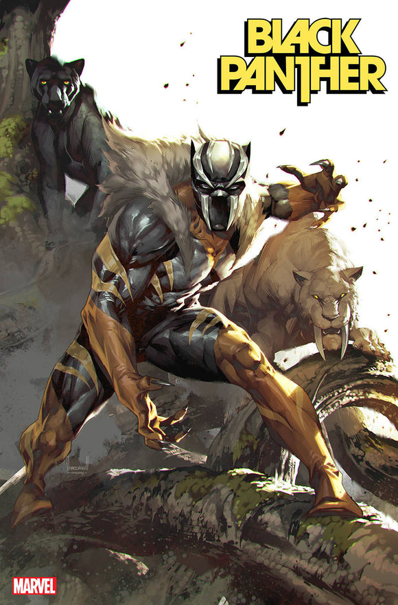 Black Panther Vol 8 #2 Cover B Variant Kael Ngu Villains Reign Cover