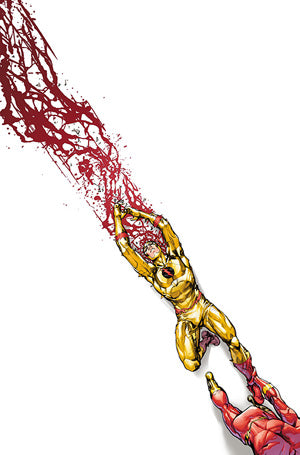 FLASH #762 CVR A HOWARD PORTER