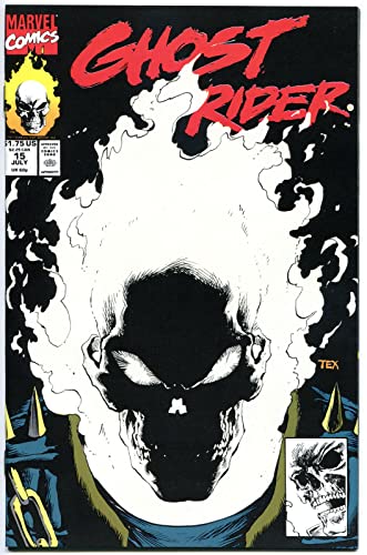 Ghost Rider Vol 2 #15 Cover A 1st Ptg