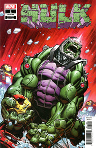 Hulk Vol 5 #1 Cover D Variant Ed McGuinness Cover