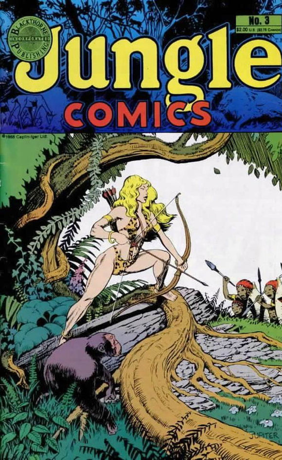 Jungle Comics Vol 2 #3