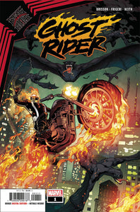 King In Black Ghost Rider One Shot Cover A Regular Will Sliney Cover