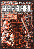 Raphael Teenage Mutant Ninja Turtle #1