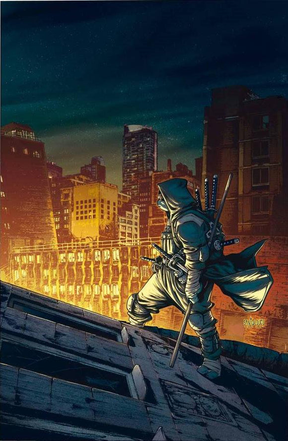 Teenage Mutant Ninja Turtles Last Ronin #1 Cover C 1:25 Incentive Mateus Santolouco Variant Cover