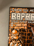 Raphael Teenage Mutant Ninja Turtle #1